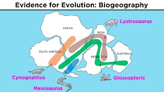 The Evolution of Populations Natural Selection Genetic Drift and Gene Flow [upl. by Farland]