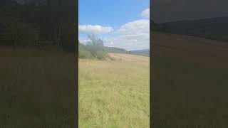 Newlands Corner Views and Greenery 1492024 [upl. by Vitale]