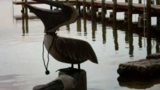 The Pelican Cottages Key Largo Florida [upl. by Neelik]