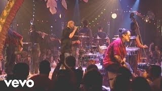 Tryo  Accordéon pour les cons Live au Cabaret Sauvage 2004 [upl. by Mita140]