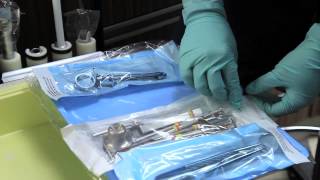 Elgin Community College Dental Assisting Program [upl. by Elolcin]