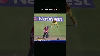 Stumps cartwheeling cricket edit by Hasnain cricket pakteamnewbowlingcoaches [upl. by Gnouh]