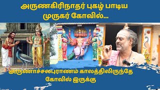 திருவண்ணாமலை ஆதி முருகன் கோவில் arunachalam murugartemple lordmuruganstatus [upl. by Mehs]