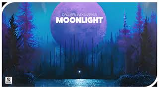 Dallerium x Markis  Moonlight Official Audio [upl. by Norved244]