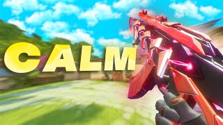 Does Calm Aim Even Matter [upl. by Lasley]