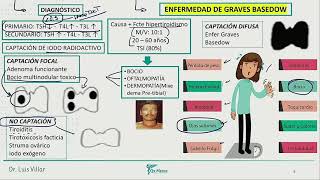 Endocrinología  Hipertiroidismo 2 [upl. by Durant]