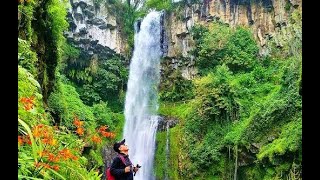 CASCADA DE CHILCHOTLA [upl. by Ahsimet]