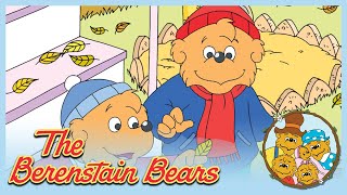 Berenstain Bears Bears For All Seasons Grow It  Ep39 [upl. by Enitnemelc63]