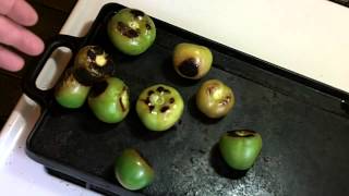 How to make Fresh Homemade Tomatillo Salsa [upl. by Danziger]