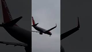 Jet2 B737 landing at BHX [upl. by Bergman]