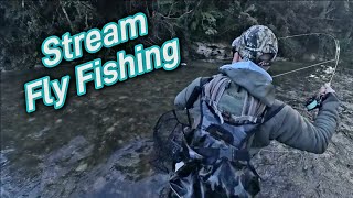 Stream Fly Fishing NZ [upl. by Sidoma]