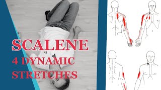 Scalene Muscles Stretch How To Use Post Isometric Relaxation PIR [upl. by Arais]