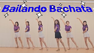 Bailando Bachata Line Dance Beginner 바차타 초급라인댄스 [upl. by Innig741]