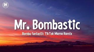 Mister Bombastic TikTok Remix Meme Song [upl. by Gnal294]