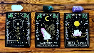 YOUR FUTURE SELF IS CONTACTING YOU TO GIVE YOU THIS MESSAGE 🎀✨🌸  Pick a Card Tarot Reading [upl. by Amero]