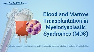 LongTerm Effects of a Transplant Using Your Own Stem Cells autologous transplant [upl. by Finnie]