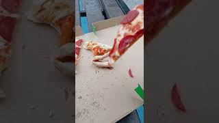 Test pizzy z żabki [upl. by Peyter]