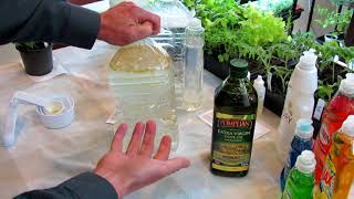 How to Make Neem Oil Smothering Insect Oil and Fungicide Sprays Recipes amp Routines DIY Ep4 [upl. by Eindys]