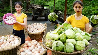 Harvest green cabbage and duck eggs in the garden Return to the village to sell  Agriculture [upl. by Dynah865]