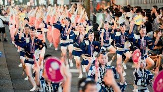 高円寺ひょっとこ連 阿波踊り大会 1日目 第５０回神楽坂まつり 2024 [upl. by Mccormac]