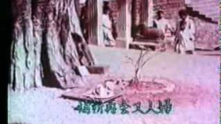 The Mating Urge 1959 documentary [upl. by Paske]