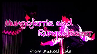 Mungojerrie and Rumpleteazer Musical【Cats】 [upl. by Douty]