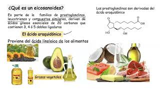 Procesos de la Hemostasia [upl. by Yardna]