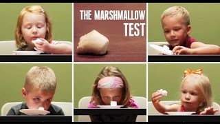 the marshmallow experiment  Instant gratification [upl. by Derward]