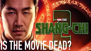 Is ShangChi 2 Dead [upl. by Notsob567]