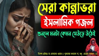 বুক ফাটা কান্নায় গজল  Top Sad Bangla Gojol Collection  মহিলা বক্তার গজল  Bangla gojol 2024 [upl. by Valencia884]