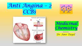 CVS part 2 Anti Angina 2 CCBs  Medicinal Chemistry T  PDF 👇 [upl. by Amlas]