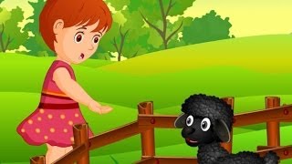 Baa Baa Black Sheep  Children Rhymes Nursery Songs with Lyrics  Learn 123 for Kids  Flickbox [upl. by Barger]