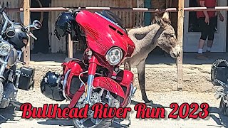 Bullhead River Run Laughlin River Run 2023 HarleyDavidson Motorcycles Bikers Invade Oatman Arizona [upl. by Eenyaj]