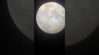 What the moon looks like through my telescope [upl. by Ihcelek]