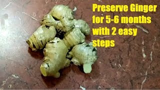 Ginger Preserve  2 Easy Steps to keep ginger good for long time  Keep Ginger fresh for long [upl. by Emsoc]