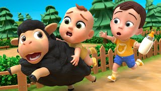 Baa Baa Black Sheep Song  MORE Baby Animals Nursery Rhymes amp Kids Songs [upl. by Shaffert]