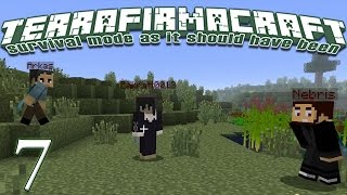 Terrafirmacraft Reloaded  E07  The Farm Minecraft [upl. by Aryan94]