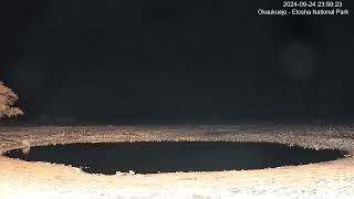 Afrisquatch CLIP OF THE DAY 92424 Two rhino during the night [upl. by Reddy]