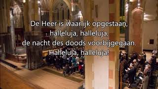 Paasintroïtus Paasmorgen 2019 Martinikerk Groningen [upl. by Eaves883]