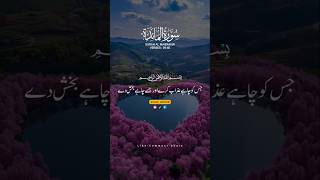 SURAH AL MAIDAH 05 VERSES 3940❤🕊سورۃالمائدہ💯 youtubeshorts shorts quranurdutranslation allah [upl. by Nitsua]