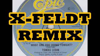 Thomas Ledin  What Are You Doing Tonight XFELDT REMIX [upl. by Rohpotsirhc]