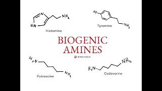 Biogenic Amines Catecholamines and Indolamines [upl. by Muller]