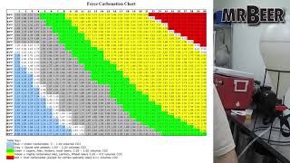 Mr Beer Advanced Brewing  Kegging amp Draft Systems [upl. by Eolcin]