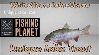 Fishing Planet  Unique Lake Trout  White Moose Lake Alberta [upl. by Cooper]