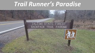 Zaleski Trail Run  Ohio Runners Paradise [upl. by Thistle]