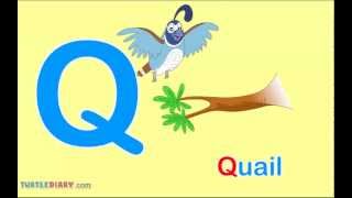 What Words Start With Letter Q Words For Toddlers [upl. by Cram]