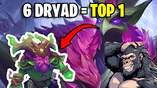 Como jugar Dryad  Driade en team fight tactics set 11 🦌 [upl. by Hak]