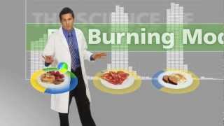 The Food Lovers Fat Loss System  Explained [upl. by Adiv101]