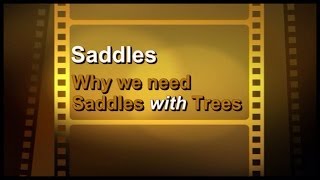 Saddles  Why We Need Saddles with Trees  by Jochen Schleese [upl. by Corwin772]