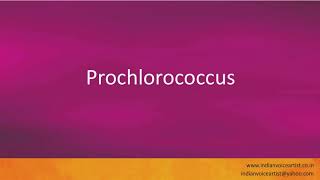 Pronunciation of the words quotProchlorococcusquot [upl. by Eenerb454]